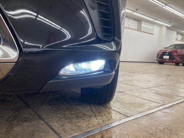 TOYOTA LEXUS NX300 2018