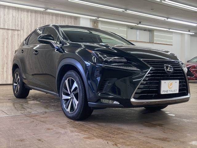 TOYOTA LEXUS NX300 2018