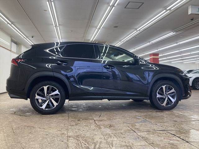 TOYOTA LEXUS NX300 2018