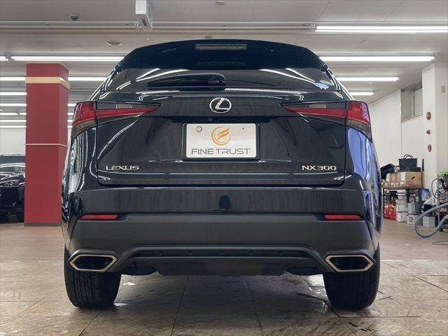 TOYOTA LEXUS NX300 2018