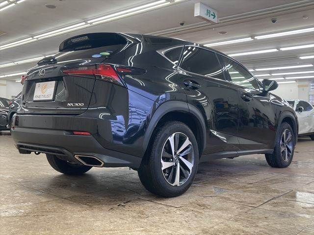 TOYOTA LEXUS NX300 2018
