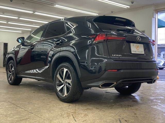 TOYOTA LEXUS NX300 2018