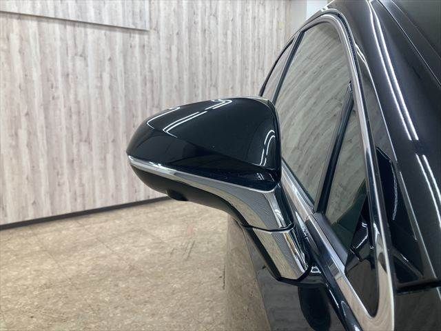 TOYOTA LEXUS NX300 2018