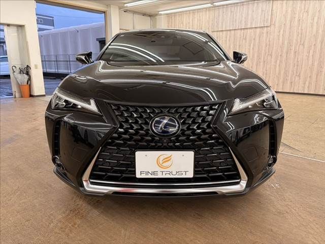 TOYOTA LEXUS UX250h 2019