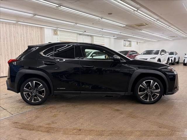 TOYOTA LEXUS UX250h 2019