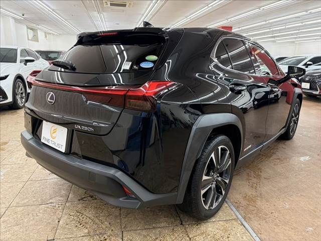 TOYOTA LEXUS UX250h 2019