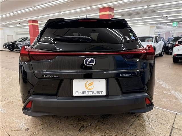 TOYOTA LEXUS UX250h 2019