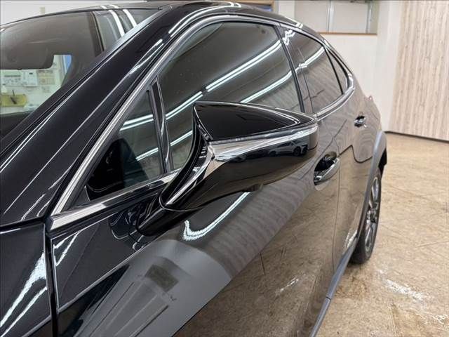 TOYOTA LEXUS UX250h 2019