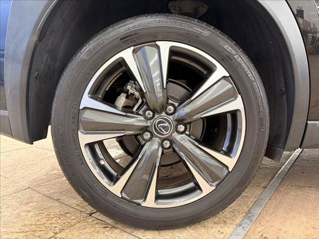 TOYOTA LEXUS UX250h 2019