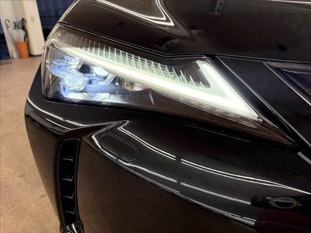 TOYOTA LEXUS UX250h 2019