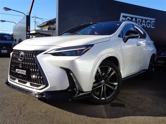 TOYOTA LEXUS NX250 2023