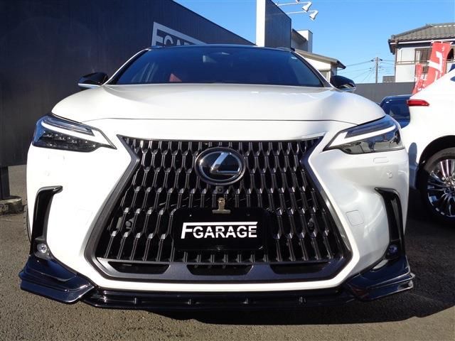 TOYOTA LEXUS NX250 2023