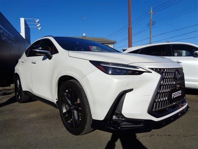 TOYOTA LEXUS NX250 2023
