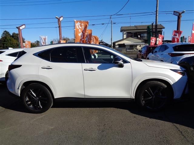 TOYOTA LEXUS NX250 2023