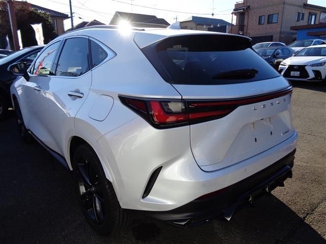 TOYOTA LEXUS NX250 2023