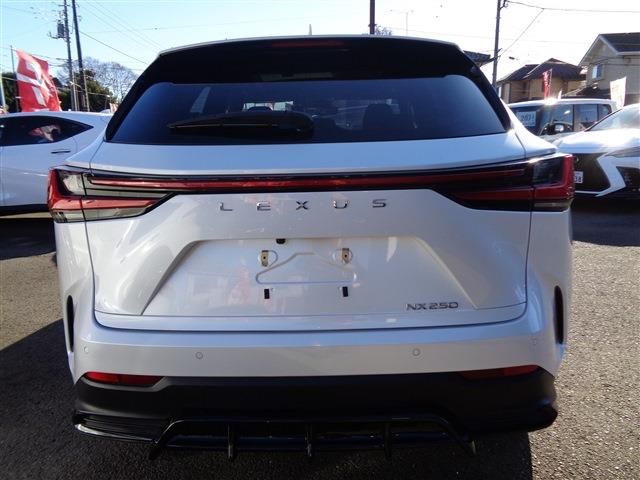 TOYOTA LEXUS NX250 2023