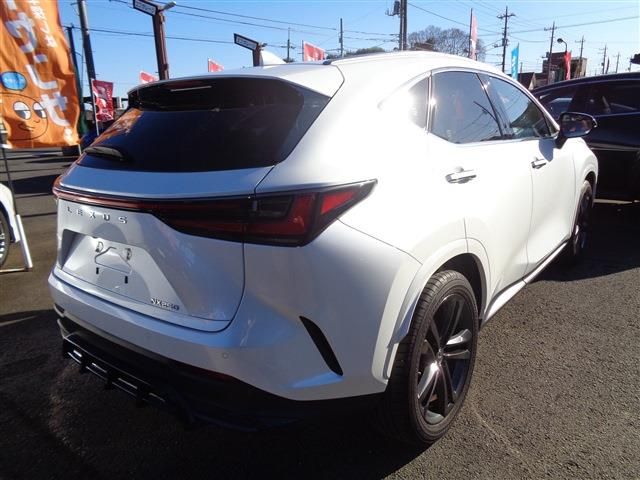 TOYOTA LEXUS NX250 2023