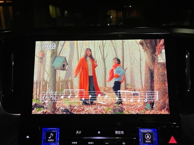 TOYOTA VELLFIRE 2019