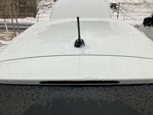 VOLKSWAGEN VOLKSWAGEN POLO 2020