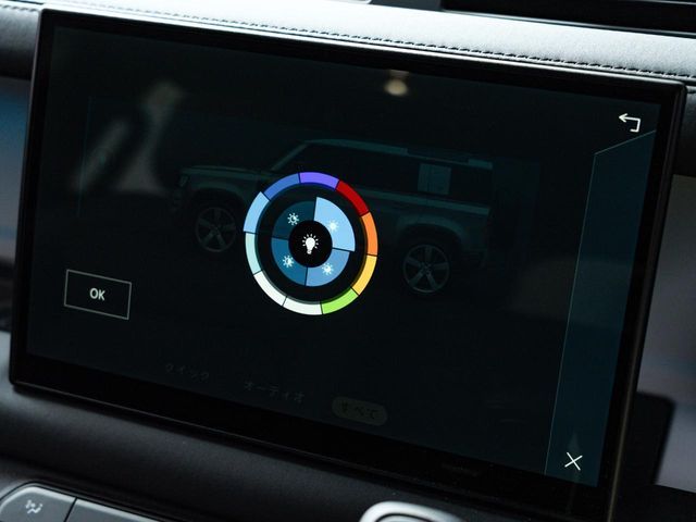 ROVER ROVER DEFENDER 2024