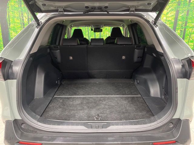 TOYOTA RAV4 4WD 2019