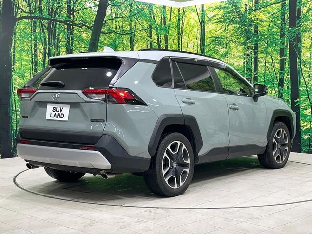 TOYOTA RAV4 4WD 2019