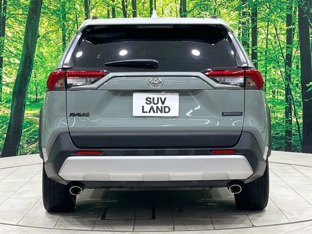 TOYOTA RAV4 4WD 2019