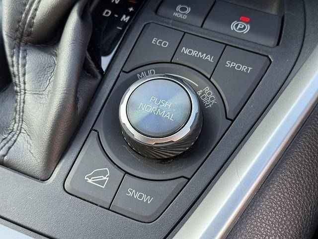 TOYOTA RAV4 4WD 2021