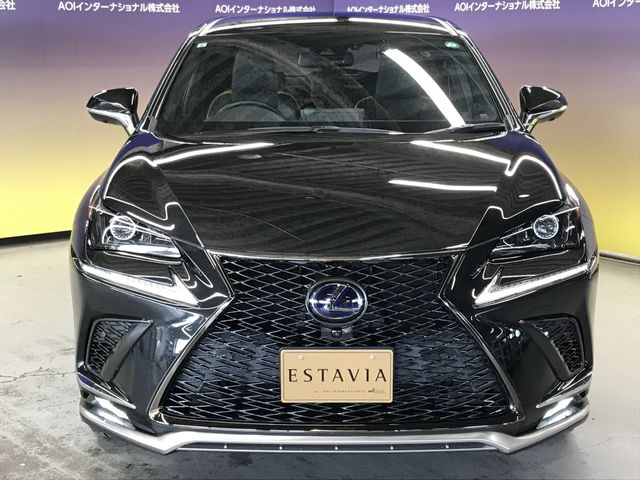TOYOTA LEXUS NX300h 2020