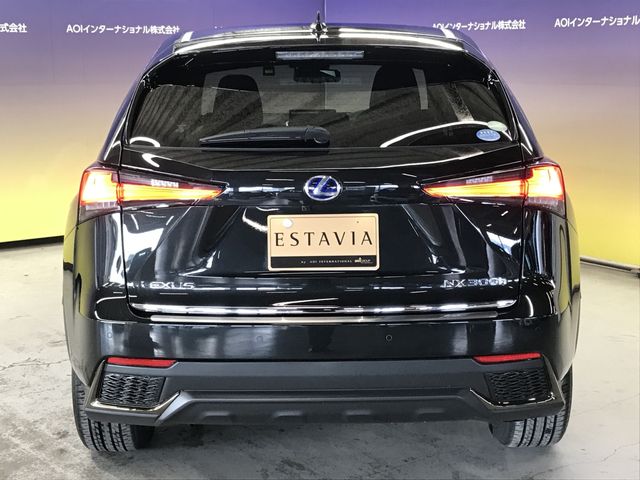 TOYOTA LEXUS NX300h 2020