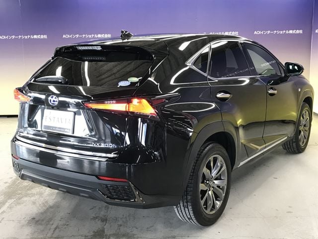 TOYOTA LEXUS NX300h 2020