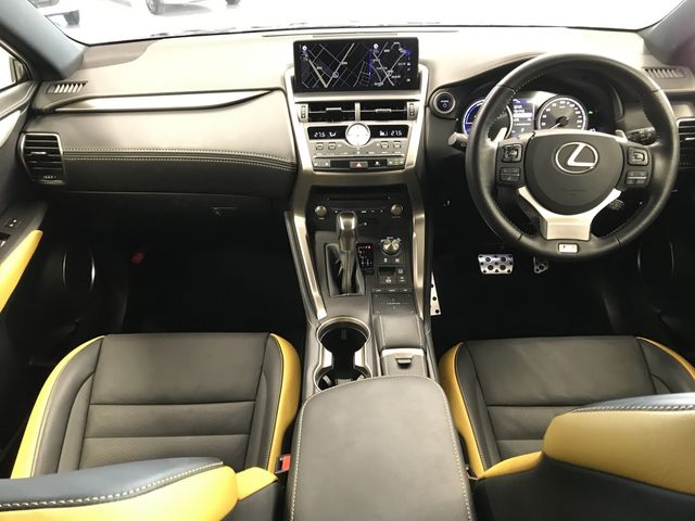 TOYOTA LEXUS NX300h 2020