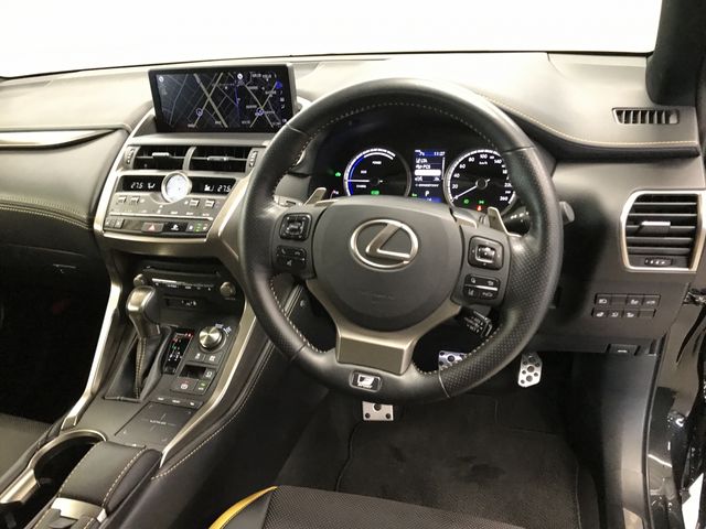 TOYOTA LEXUS NX300h 2020
