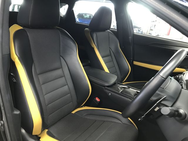 TOYOTA LEXUS NX300h 2020