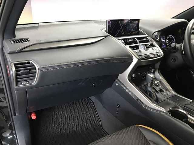 TOYOTA LEXUS NX300h 2020