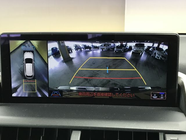 TOYOTA LEXUS NX300h 2020