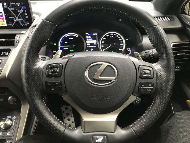 TOYOTA LEXUS NX300h 2020