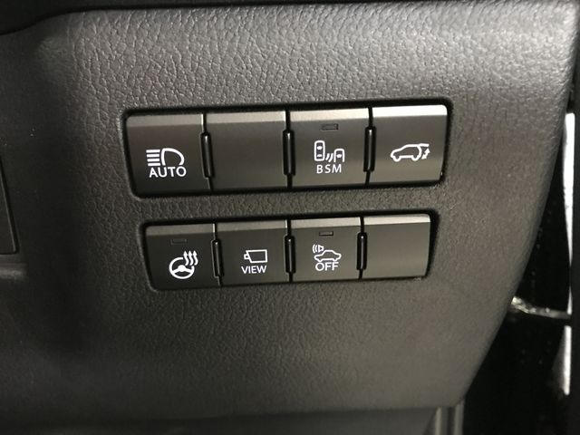 TOYOTA LEXUS NX300h 2020