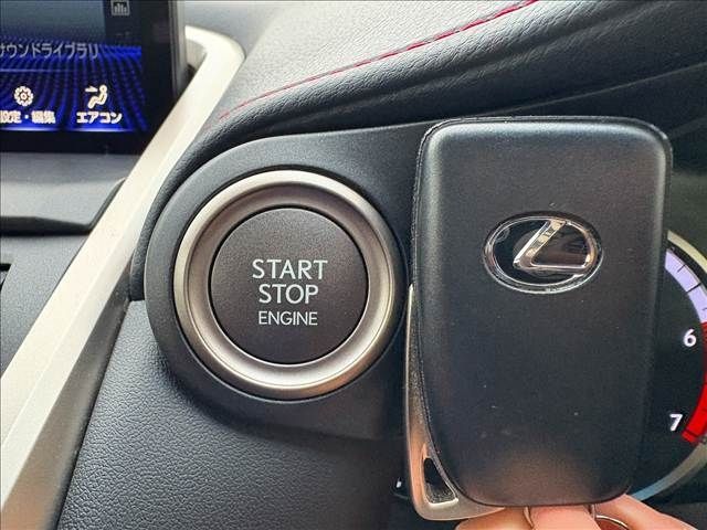 TOYOTA LEXUS NX300 2017