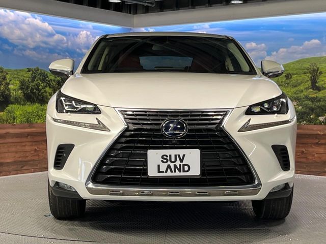 TOYOTA LEXUS NX300h AWD 2018