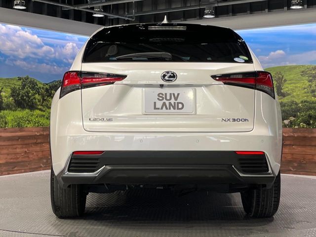 TOYOTA LEXUS NX300h AWD 2018