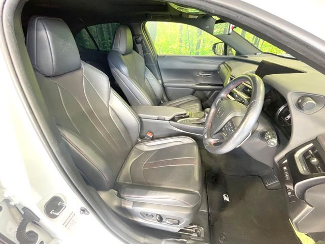 TOYOTA LEXUS UX250h 2019