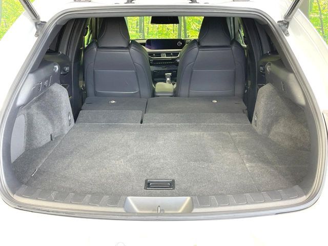 TOYOTA LEXUS UX250h 2019