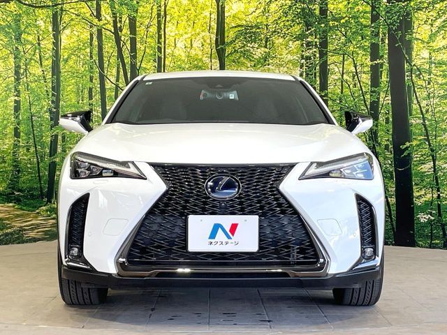 TOYOTA LEXUS UX250h 2019