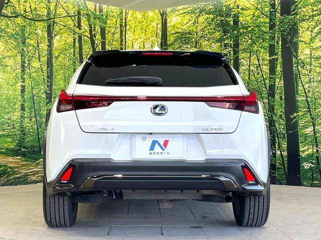 TOYOTA LEXUS UX250h 2019