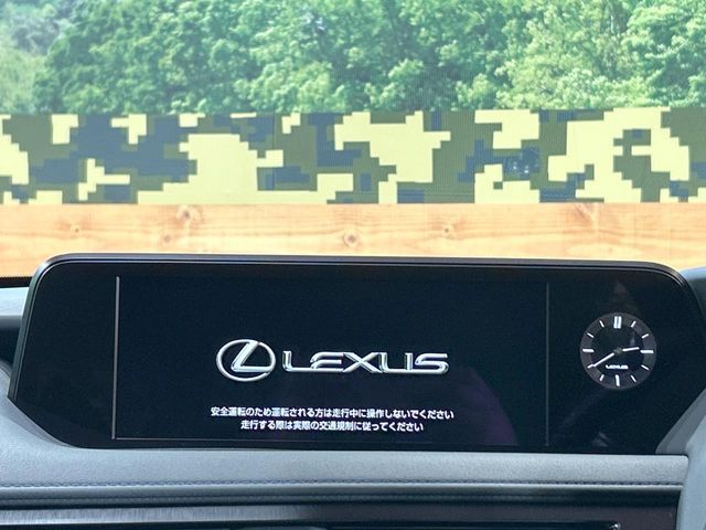 TOYOTA LEXUS UX250h 2022