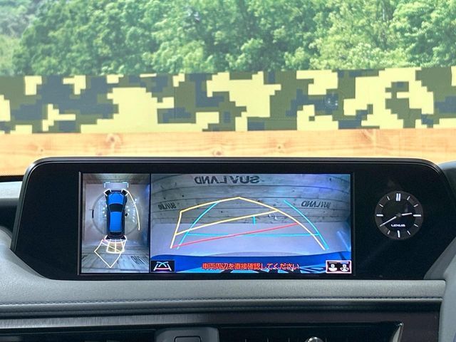 TOYOTA LEXUS UX250h 2022