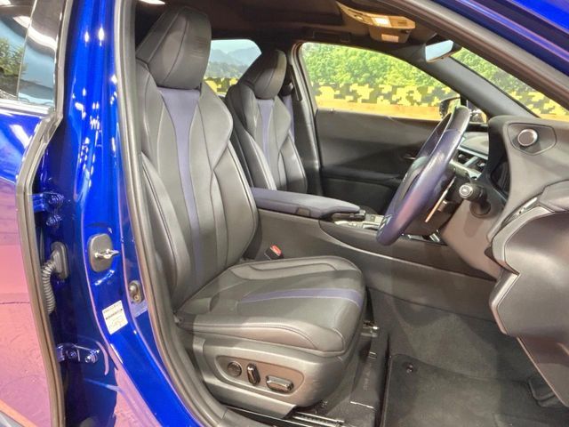 TOYOTA LEXUS UX250h 2022