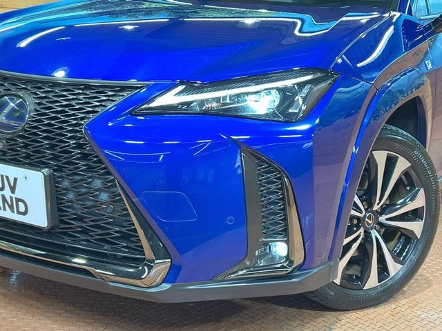 TOYOTA LEXUS UX250h 2022