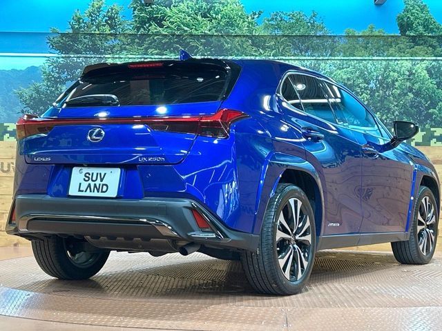 TOYOTA LEXUS UX250h 2022
